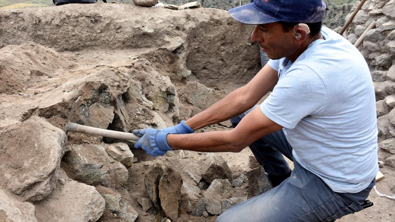 Dört kültür katı tespit edilmişti