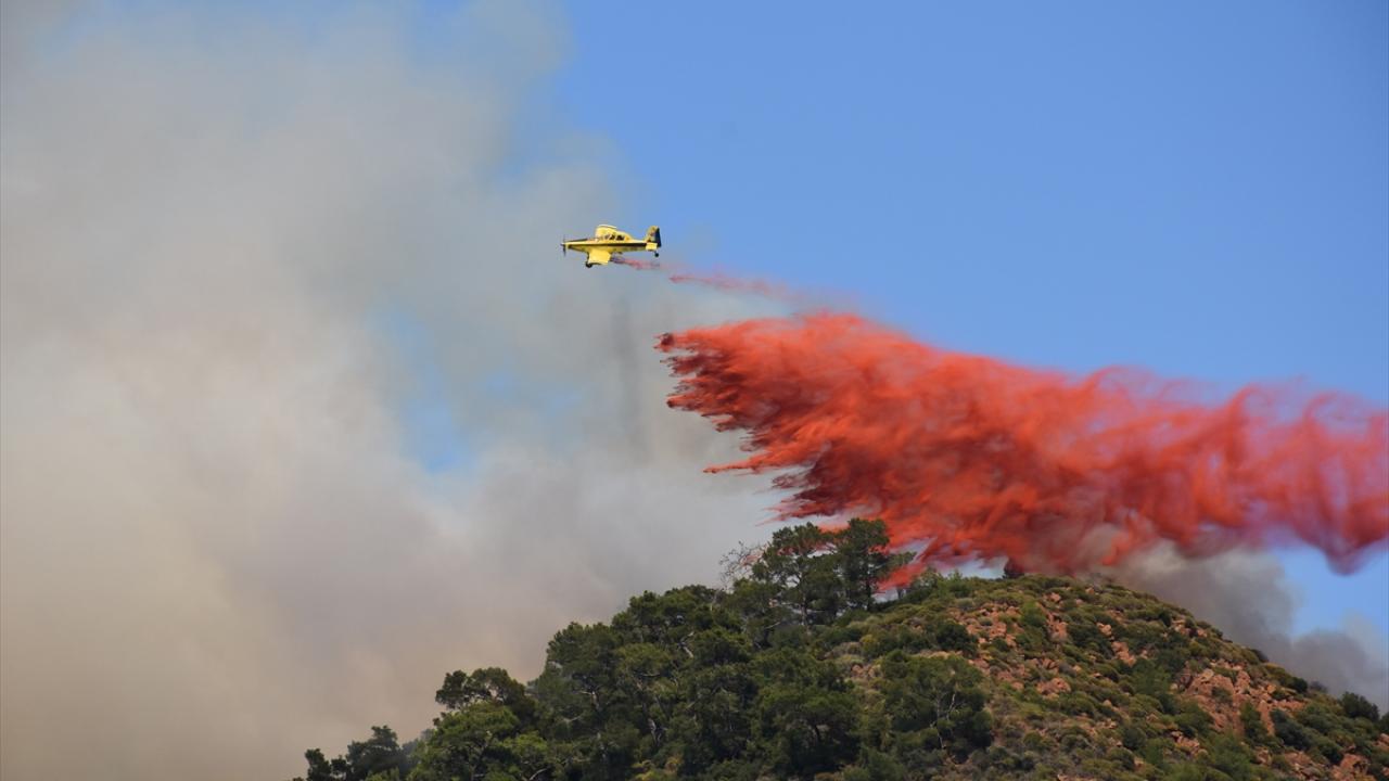 Marmaris'te orman yangını