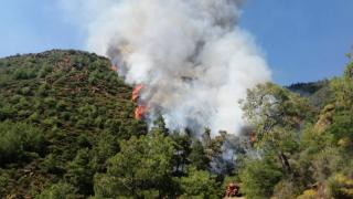Marmaris'te orman yangını