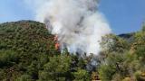 Marmaris'te orman yangını