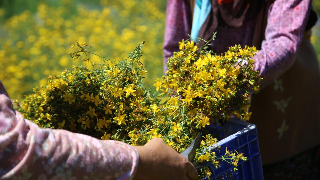 "Kalite analizlerini yapıyoruz"