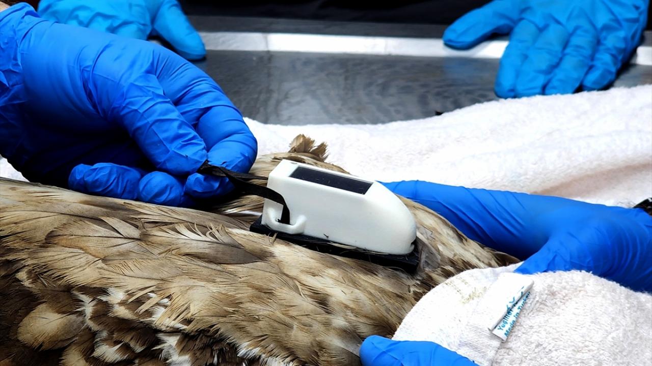 Zehirlenmede tarım ilacı şüphesi