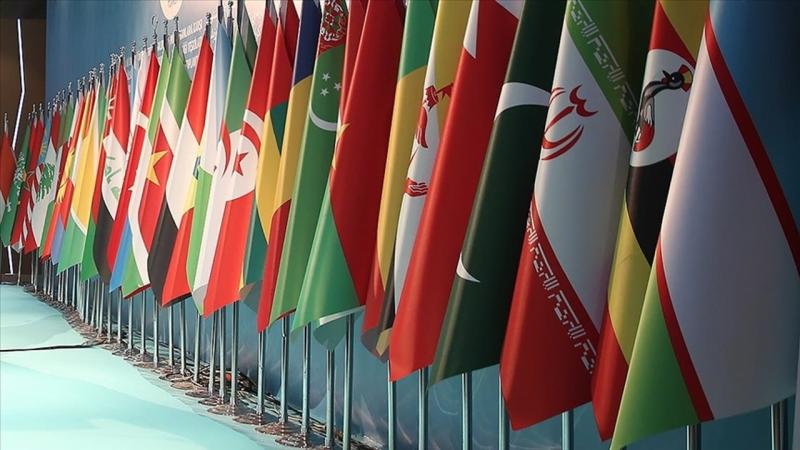 İslam ölkələri İsveç və Danimarkada baş verənlərə etirazlarını bildirəcəklər