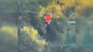 Meksika’da zipline kazası: 6 yaşındaki çocuk 12 metre yükseklikten düştü