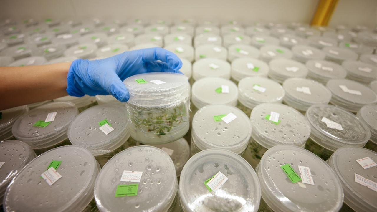 "Bu tür tesisler ülkemizin geleceği için çok önemli"