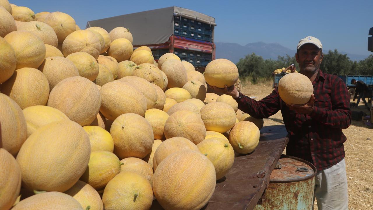 “Depremin ardından süreç güzel gidiyor”