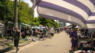 Kiev'deki Pochaina Bit Pazarı