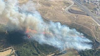 İzmir'de orman yangınına 6 uçakla müdahale