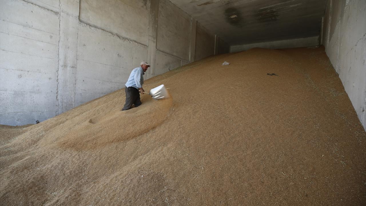 "Allah bereketini yağdırdı"
