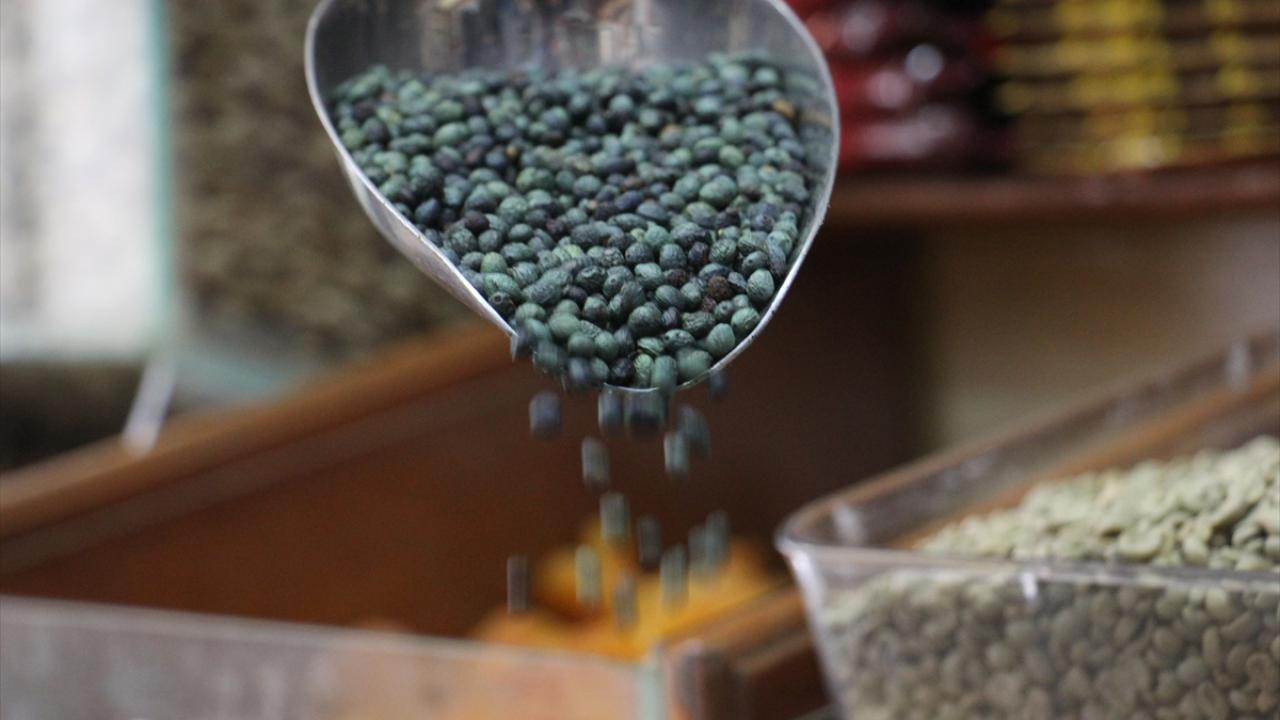 Japonya`ya 10 ton menengiç kahvesi gönderme hedefi