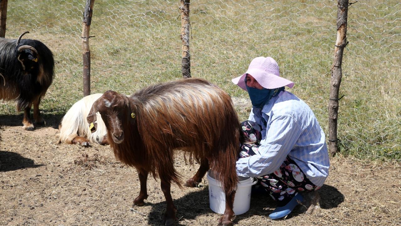 "Yürüyerek çok uzak"