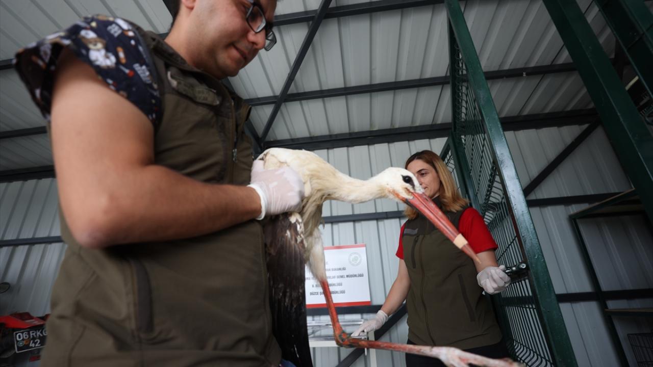 "Bir süre elle besledik"