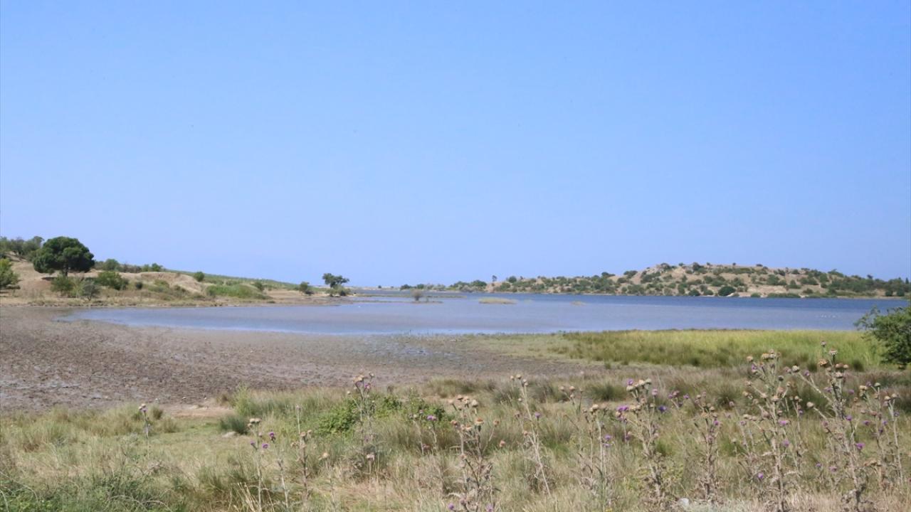 Dron ile ilaçlama yapıldı