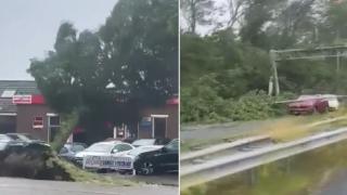 Hollanda'da fırtına: Ağaçlar devrildi, seferler iptal edildi