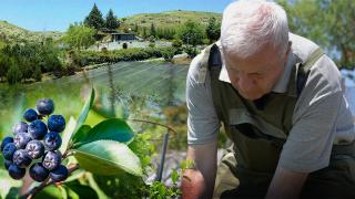 Ezber bozan çiftlik