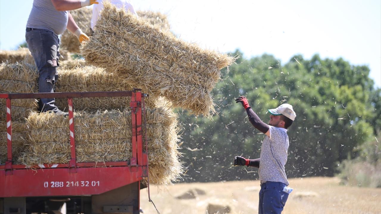 "Hava çok sıcak oluyor, toz, toprak demeden çalışıyoruz"