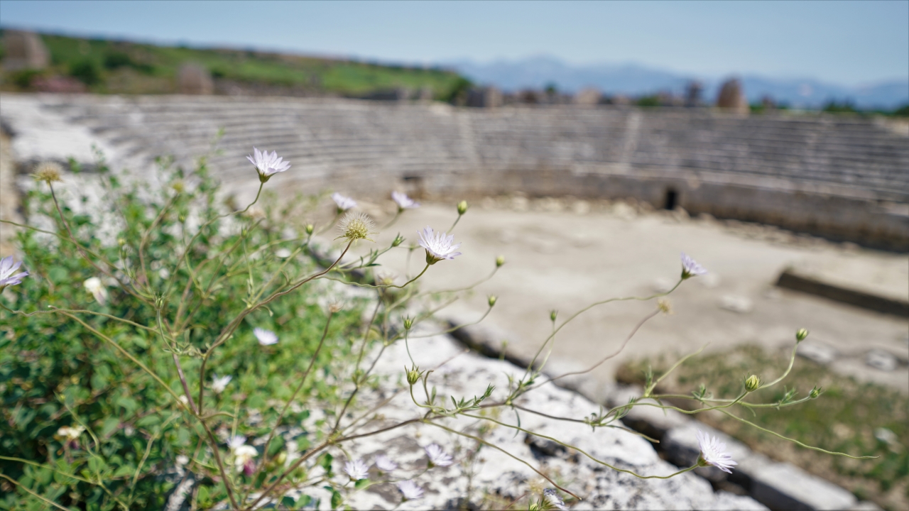 Fotoğraflar: Ali Çilesizoğlu