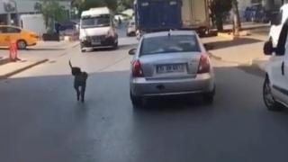 Köpeği arabanın peşinden koşturdu: O anlar kamerada