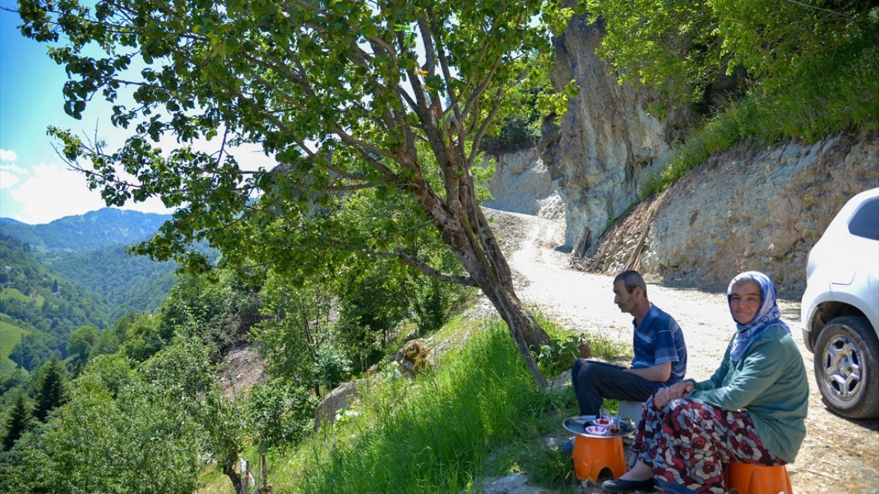 "Yola kadar sırtımda taşıyordum, şimdi kapıda arabaya binip gidiyoruz"