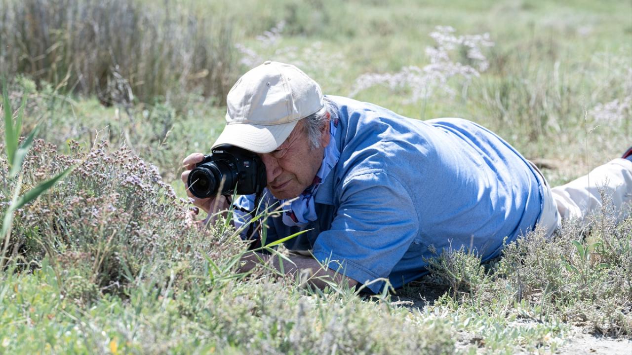 "Dünyada böylesine çorak topraklarda endemik bitkiye rastlamak oldukça zordur"