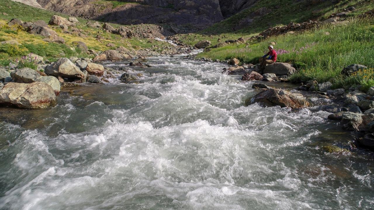 "Her akşam 3-4 grup ağırlıyoruz"