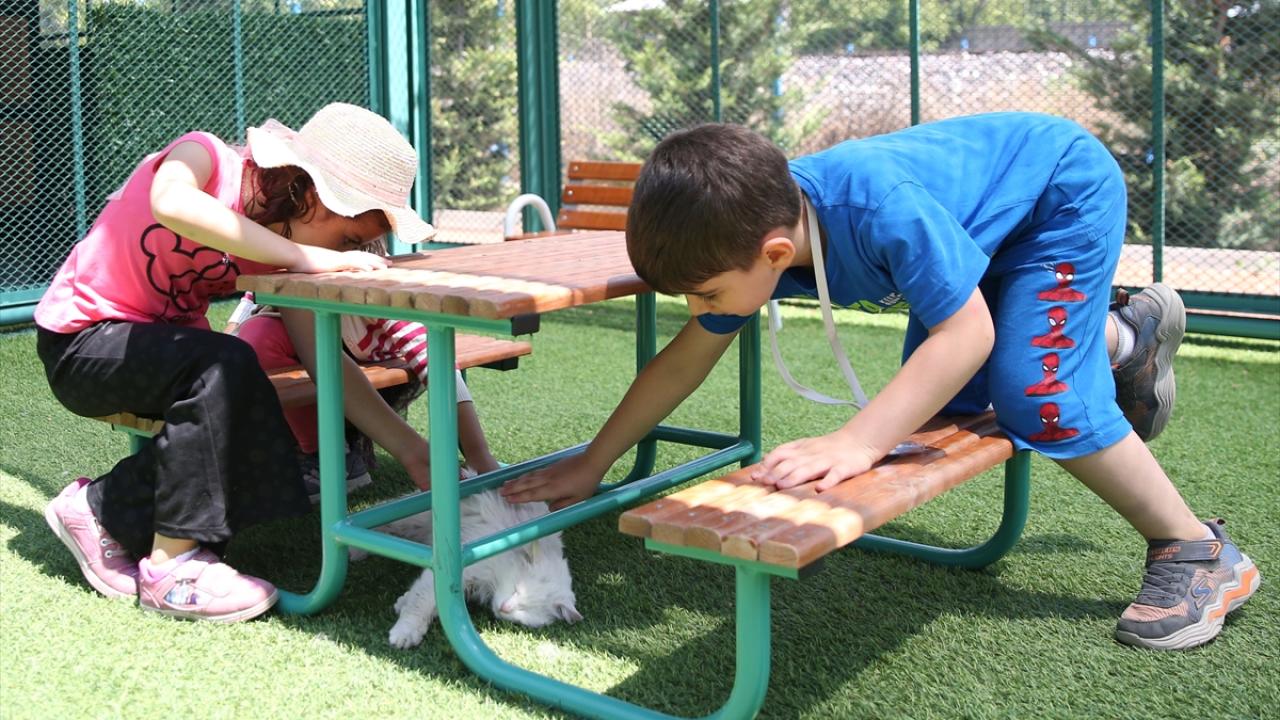 Aileler çocuklarıyla buraya gelerek güzel vakit geçirebiliyor"