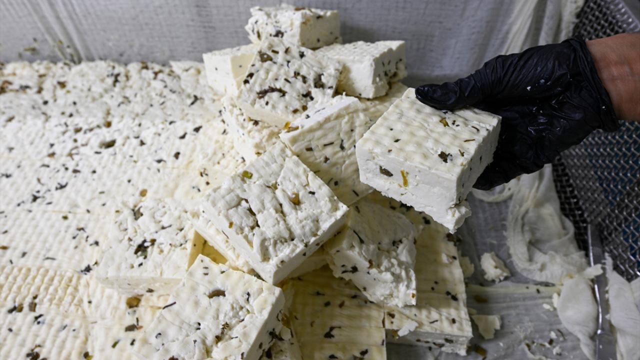 "Peynir müzesi oluşturuyoruz"