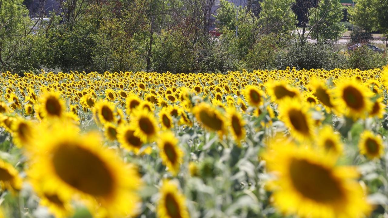 "Görünüş, gerçekten kötü bir sezon geçireceğimiz yönünde"