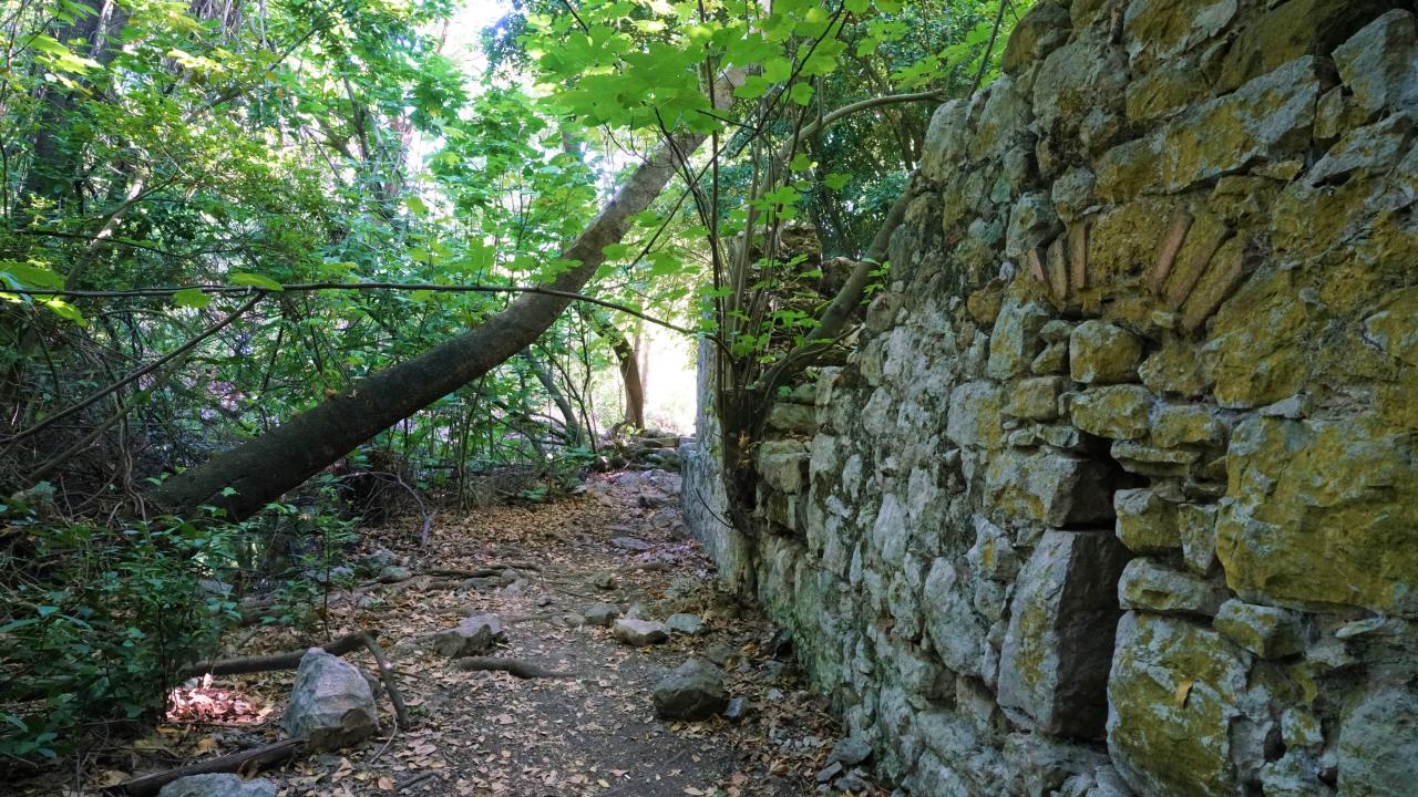 Haber ve Fotoğraf: Ali Çilesizoğlu