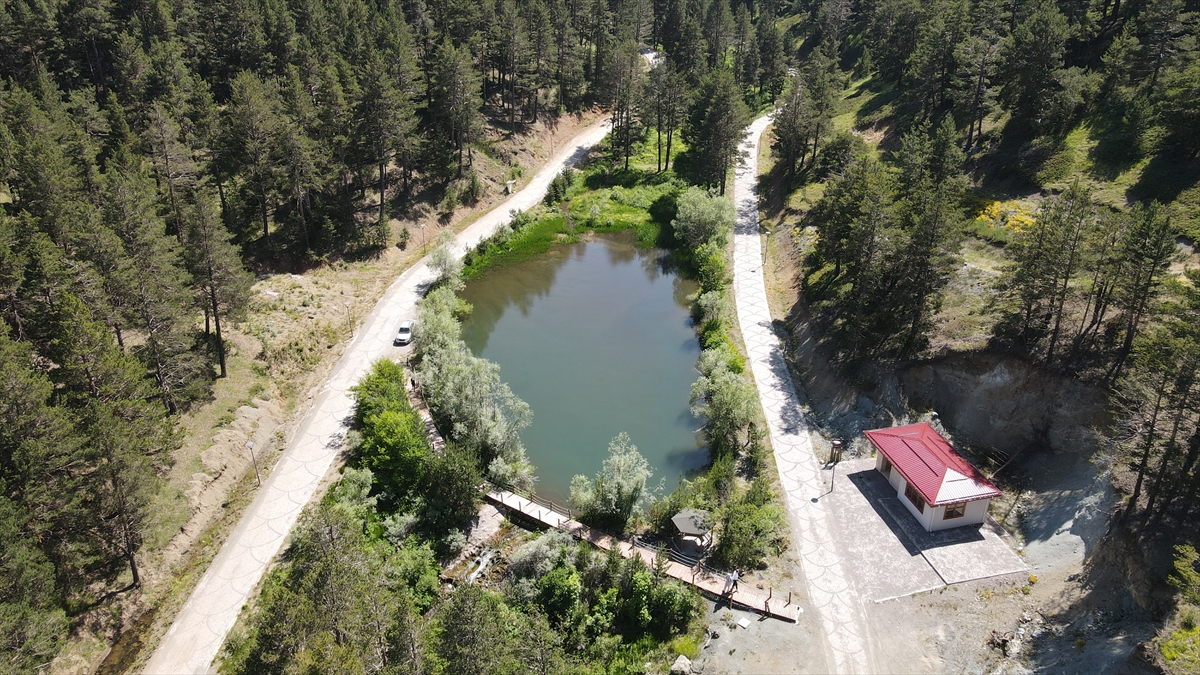 100`ün üzerinde endemik bitki türü bulunuyor