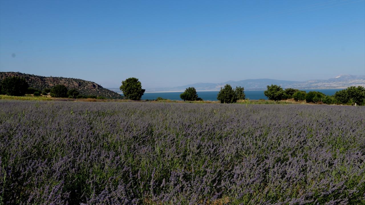 "Geç açtı ancak güzel açtı"