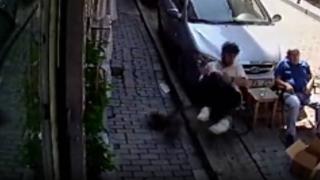 Kağıthane'de ikinci kattan üzerine kedi düştü