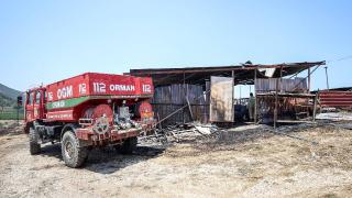 Orman yangınında bir besicinin 31 hayvanı telef oldu