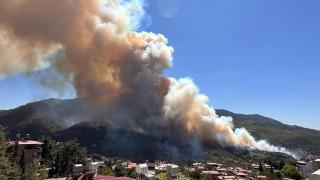 Hatay'da ormanlık alanda yangın