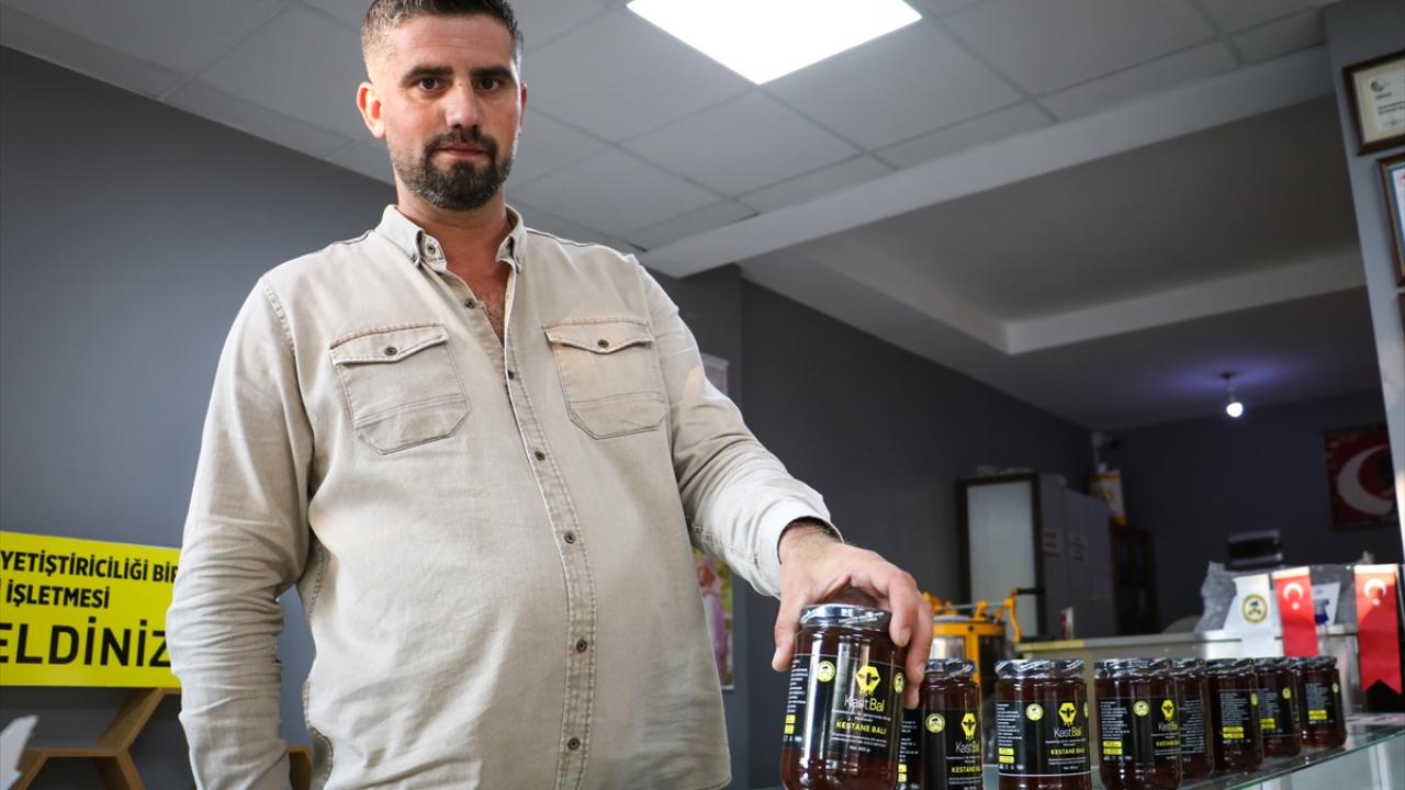 Koloni başına 10-15 kilogram olan üretim, 2-3 kilograma kadar düştü