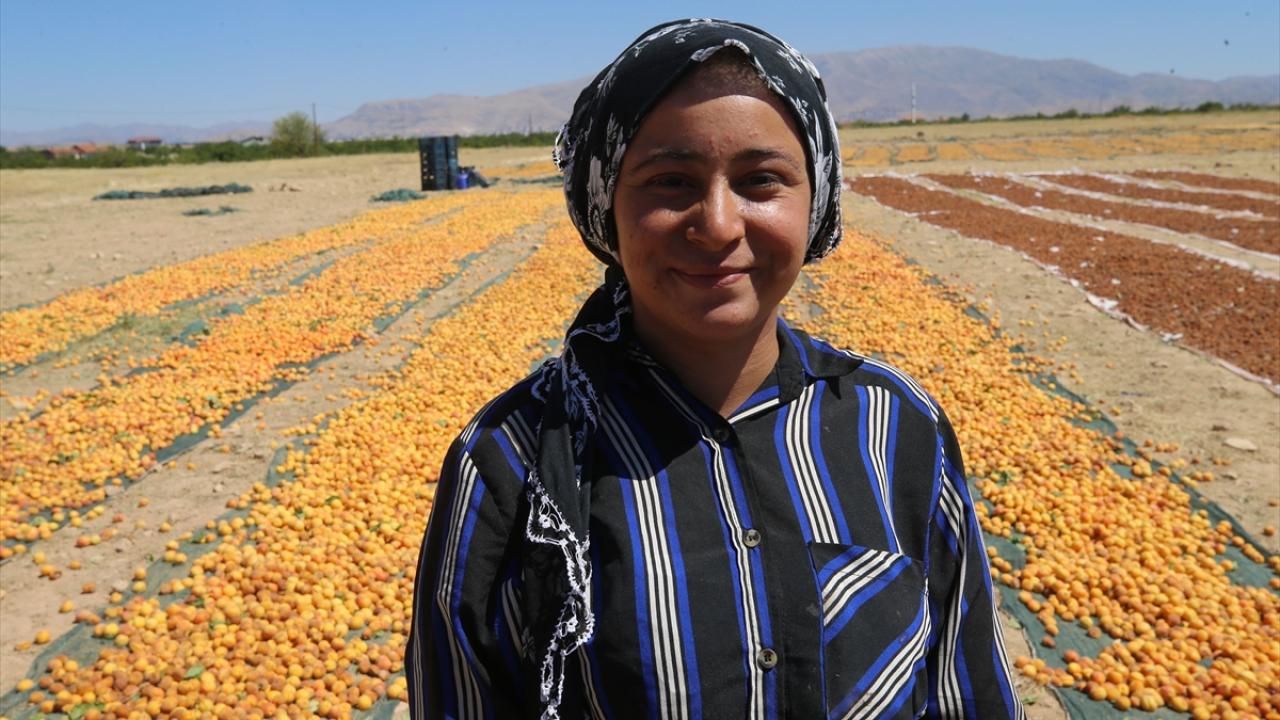 "Kayısıda çalışmak çok zor"