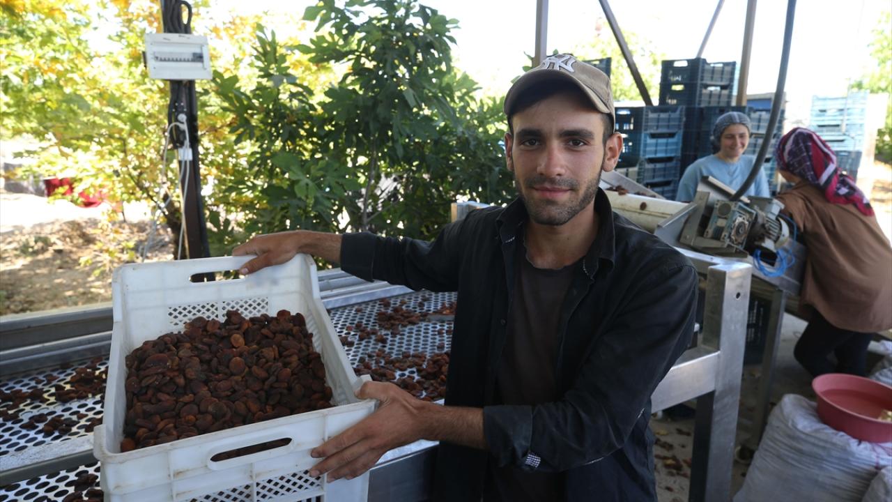 "Akşam saat 6-7`ye kadar bahçedeki işimiz sürüyor"