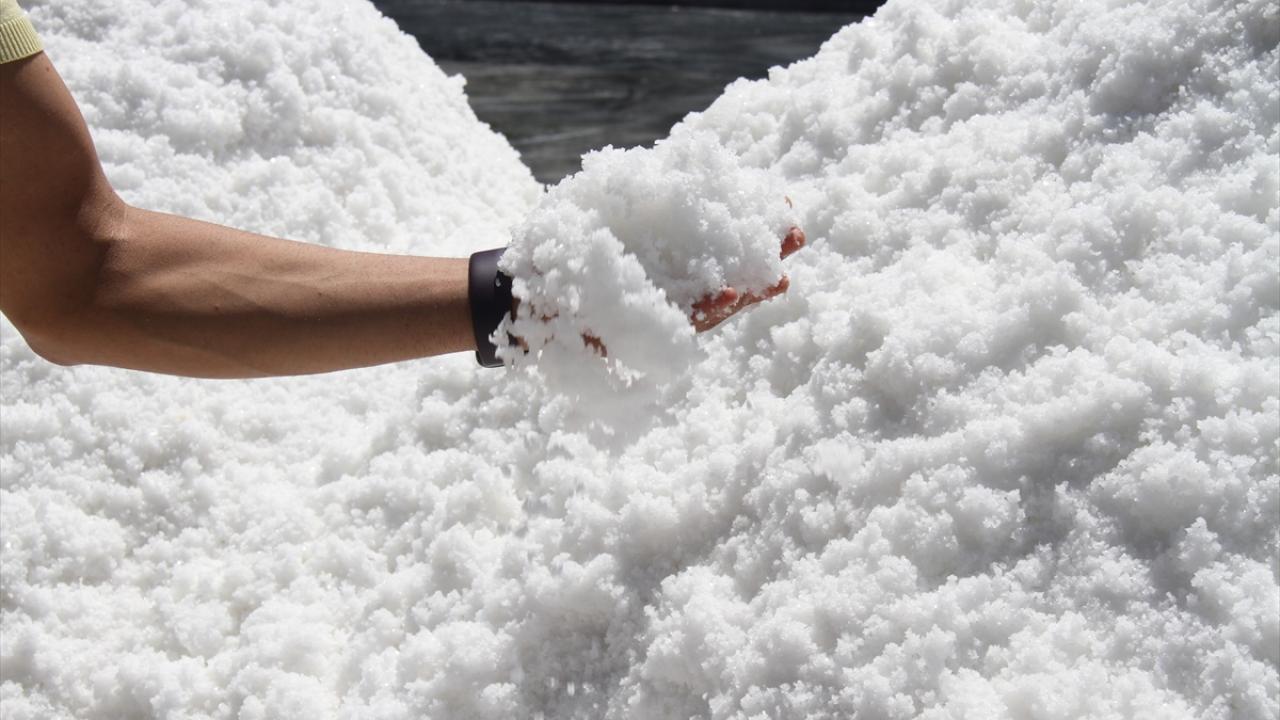 Sezonda 2 bin ton üretiliyor