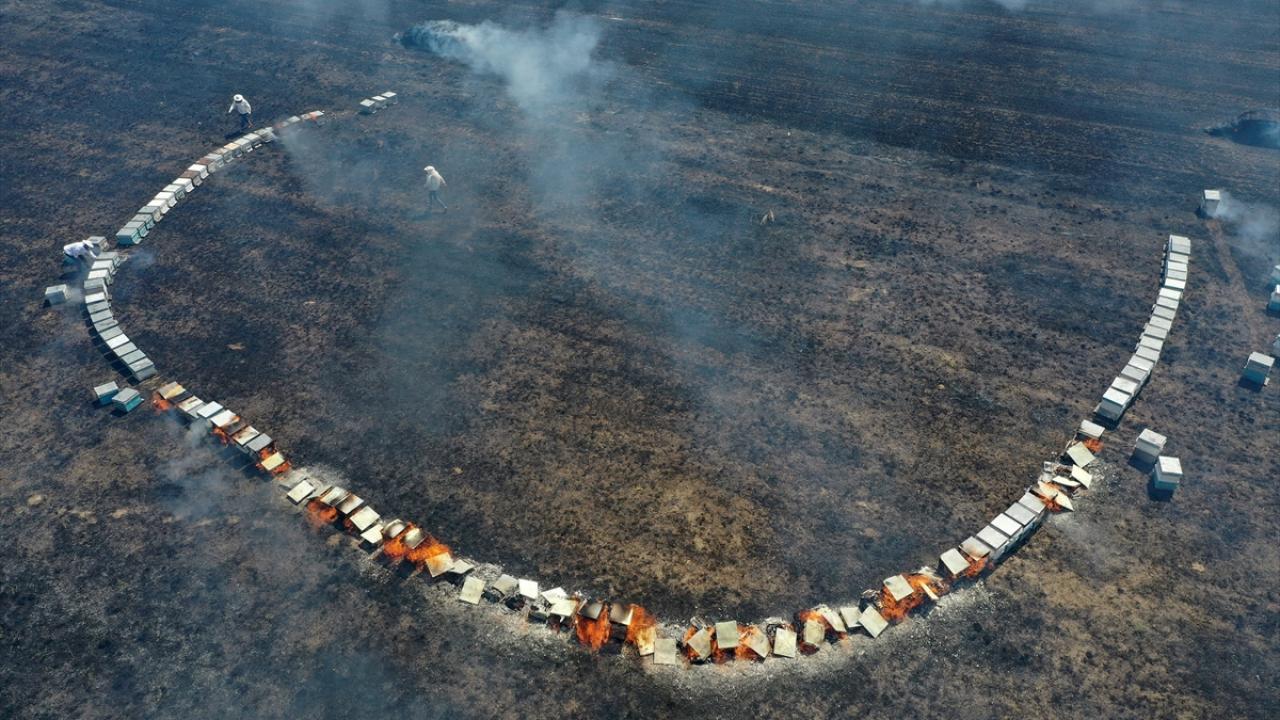 Yanan kovanları arıcılar söndürdü