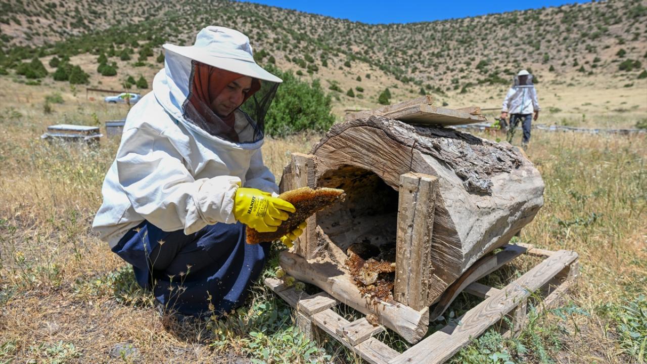 "Coğrafi işaret almak için çalışacağız"