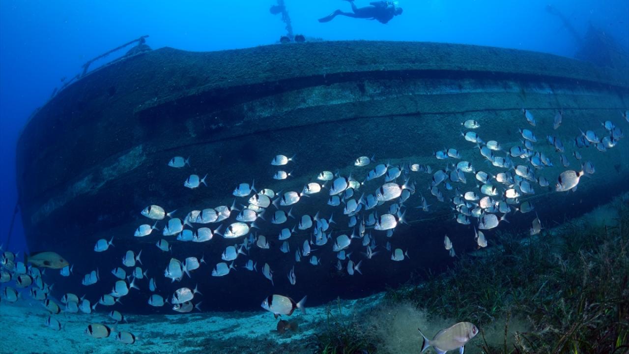 "Sessiz dünyayı anlatmaya çalışıyorum"