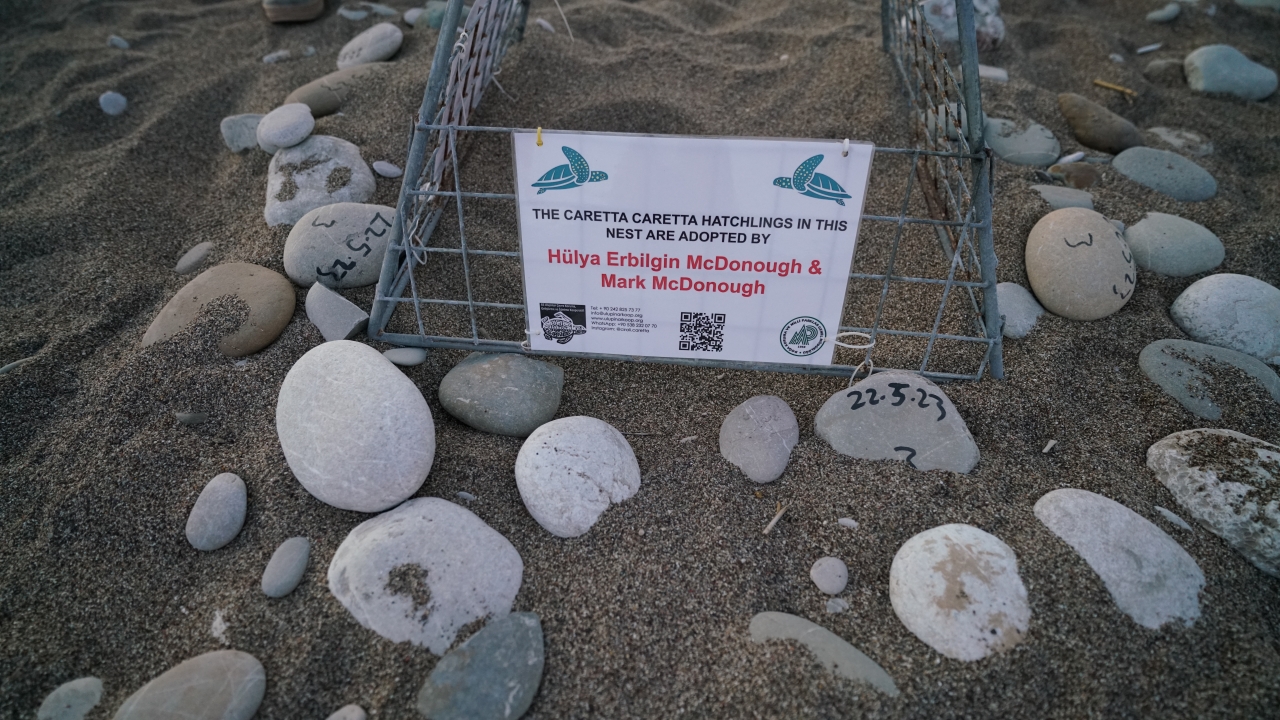 Haber ve Fotoğraf: Ali Çilesizoğlu 