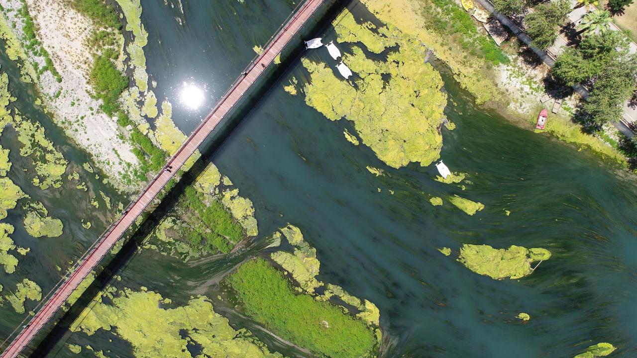 Nehir bataklık haline geldi