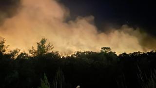 Kemer'de orman yangını