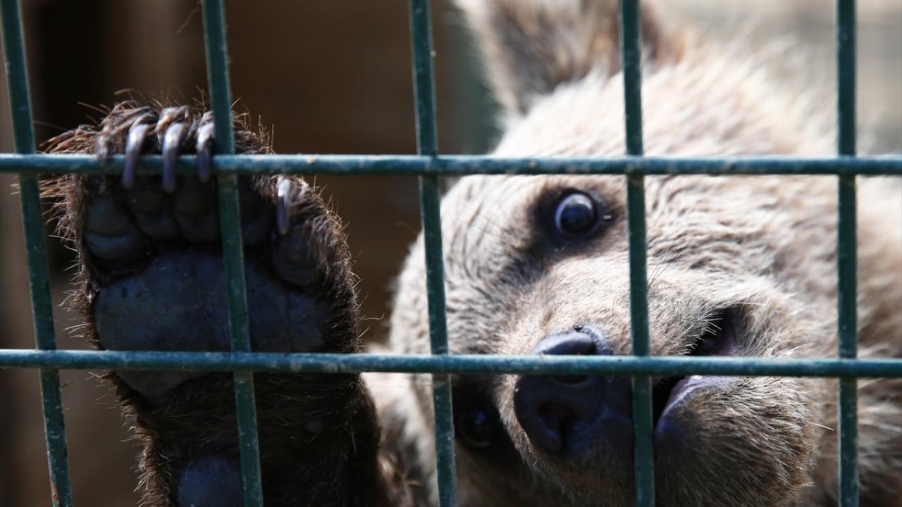 "Beni oyun arkadaşı olarak, annesi olarak görmeye başladı"