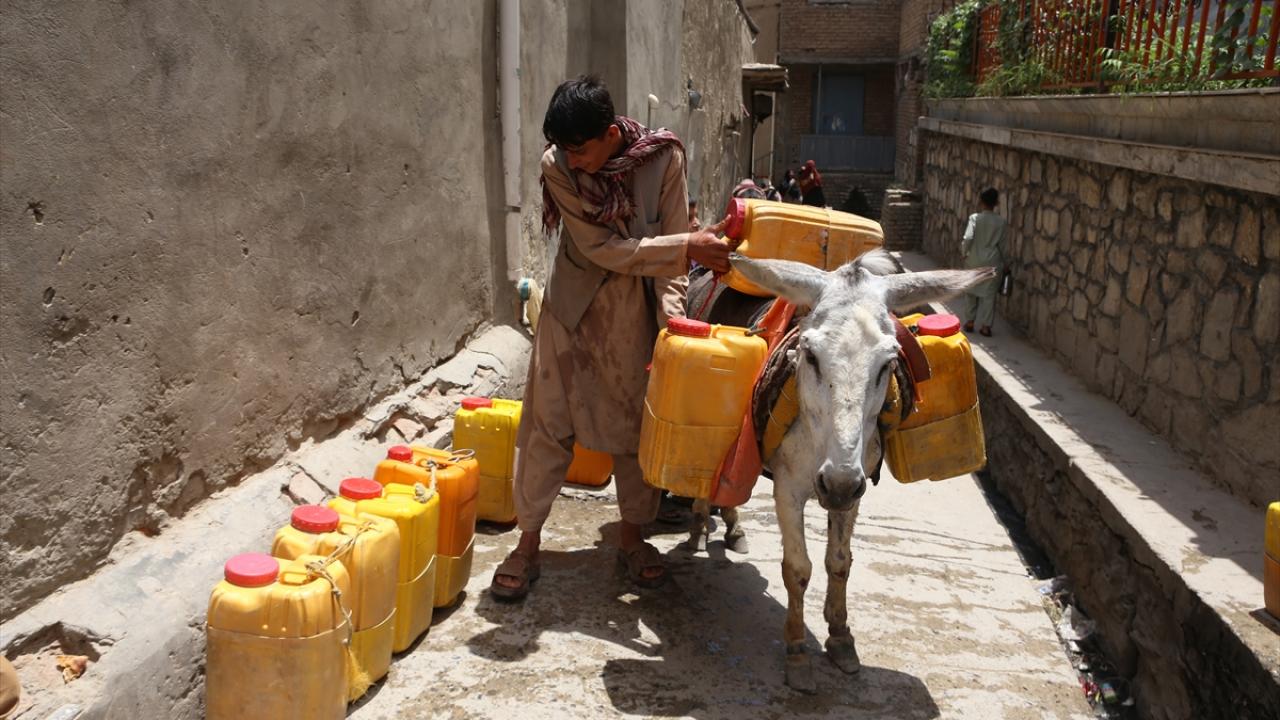 Su taşıma işi gelir kaynağı da oluyor