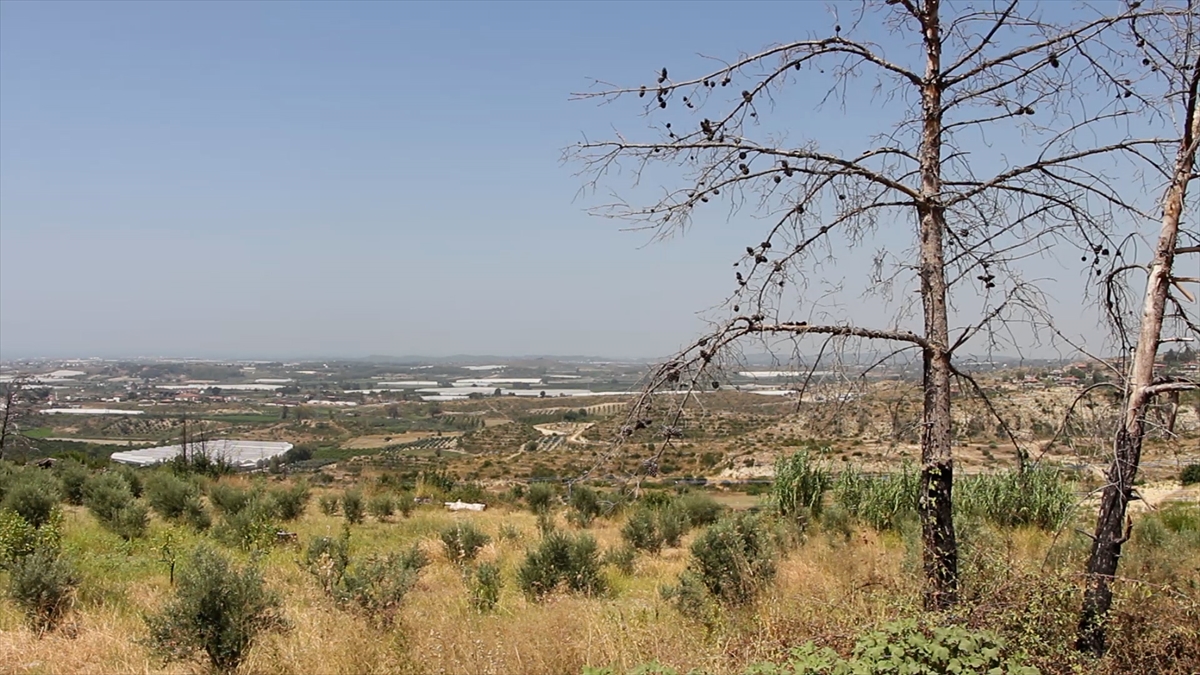"Devletimiz her zaman için bizim yanımızda oldu"
