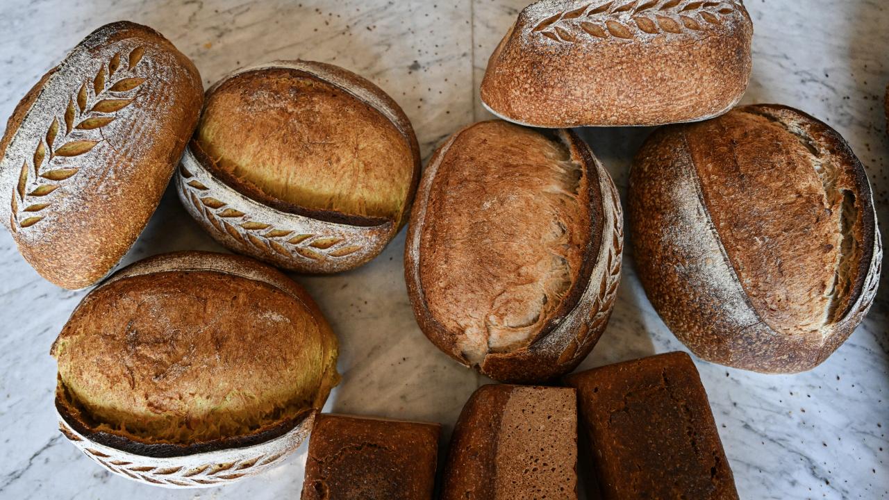 12 bin yıllık ata tohumu kullanılıyor