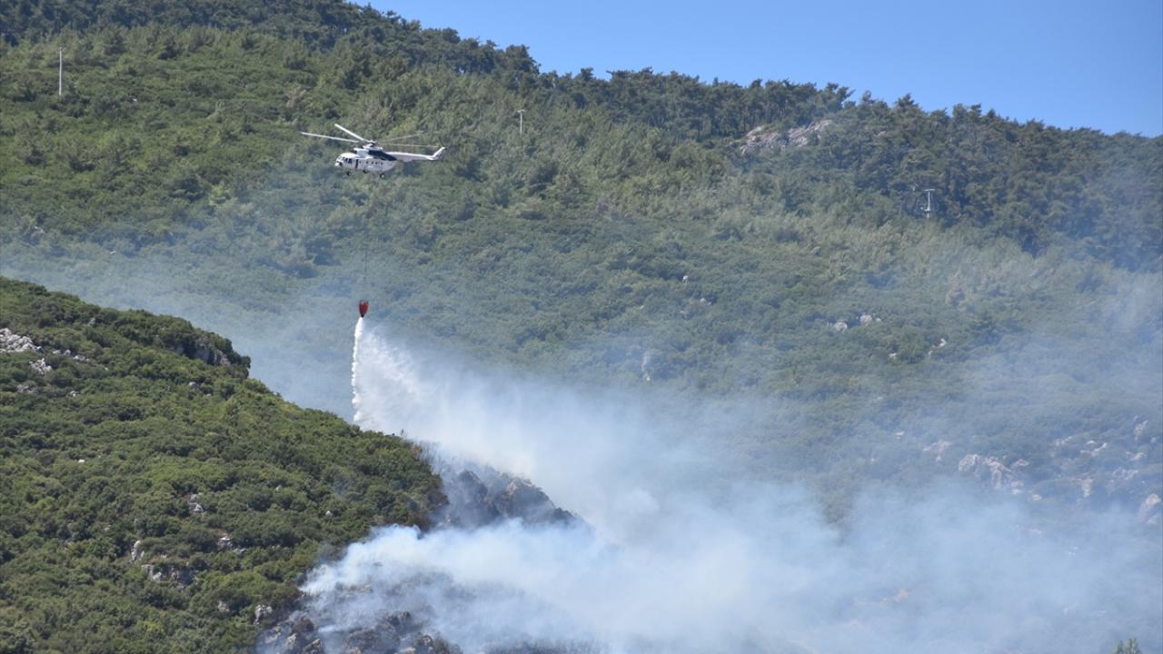 İzmir`in Kemalpaşa ilçesinde orman yangını kontrol altına alındı