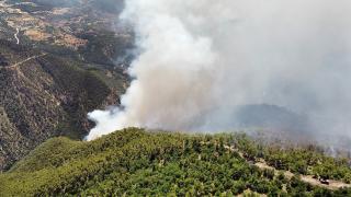 Bolu'da orman yangınına müdahale sürüyor